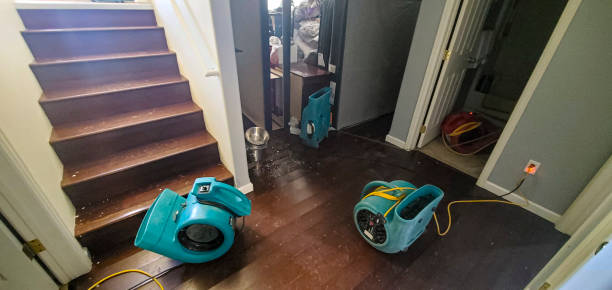 Best Flooded house restoration  in Pahala, HI