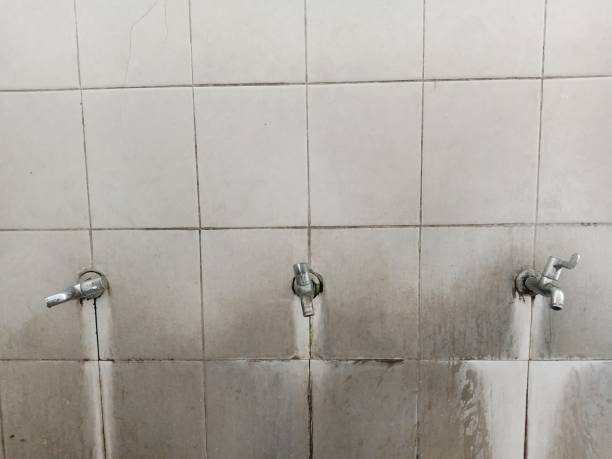 Best Fire Damage Restoration  in Pahala, HI